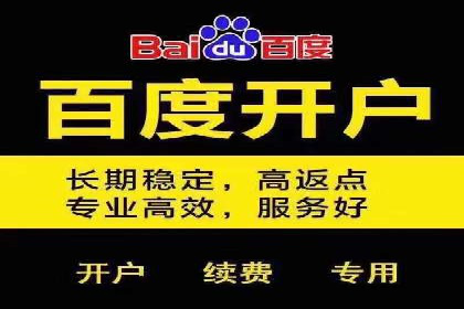顶级SEM服务公司案例解析